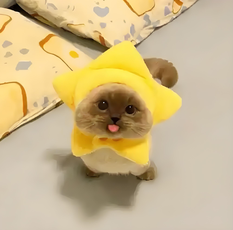 汇旺娱乐娱乐场下载